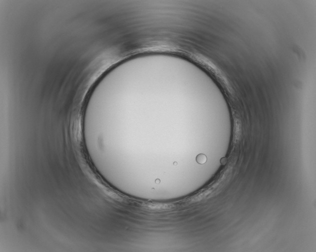 X0000111871274200907231144