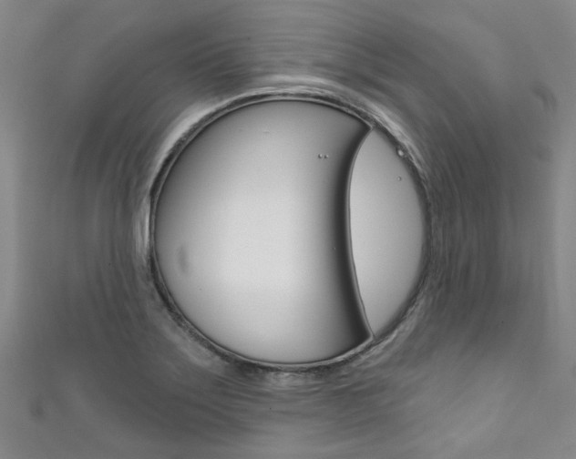 X0000111871275200907231144