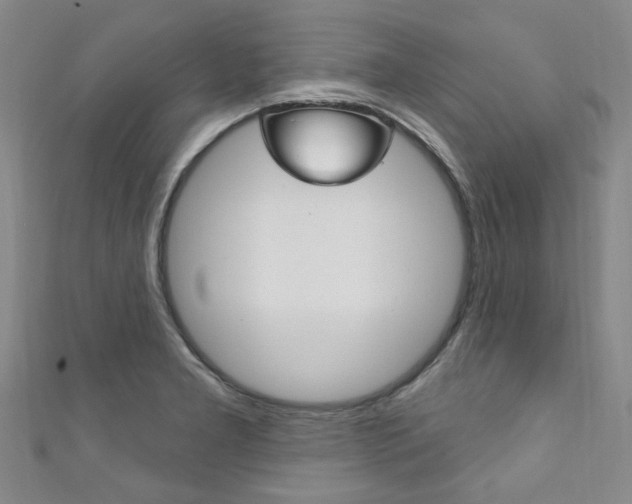X0000111871277200907231144