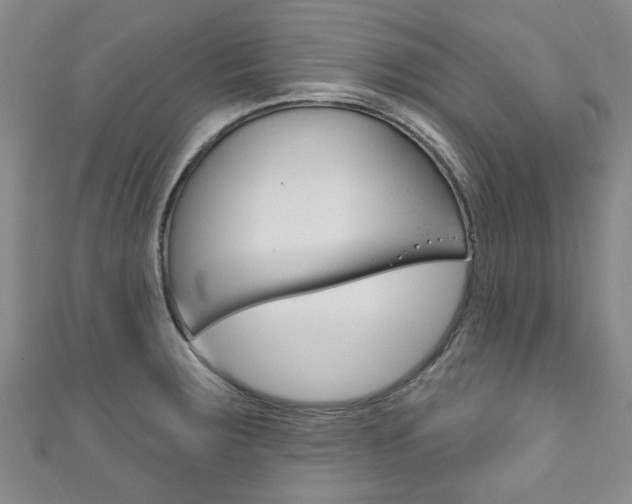 X0000111871283200907231144