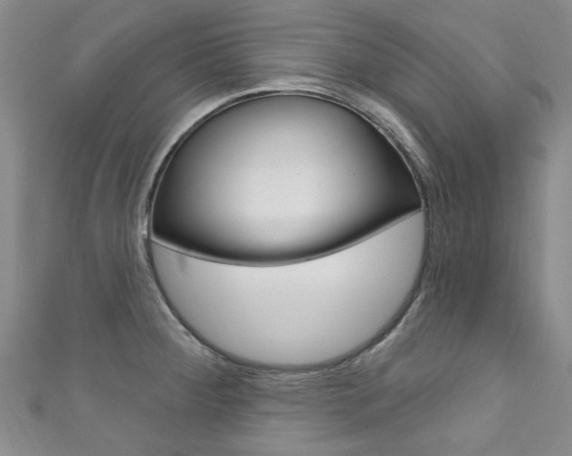 X0000111871284200907231144