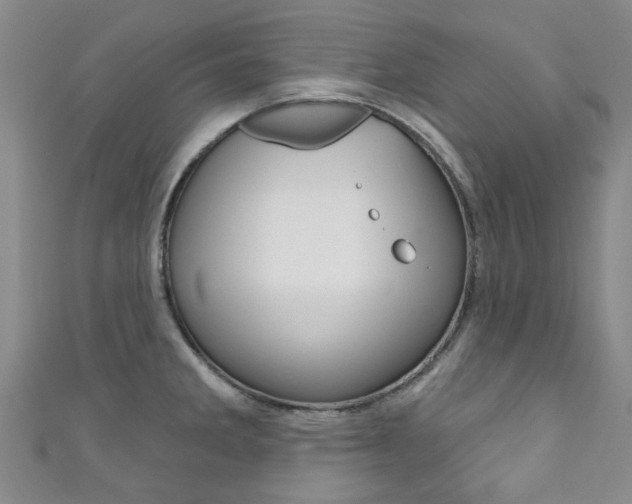 X0000111871285200907231144