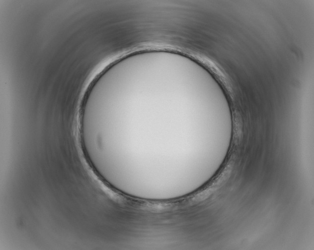X0000111871286200907231144