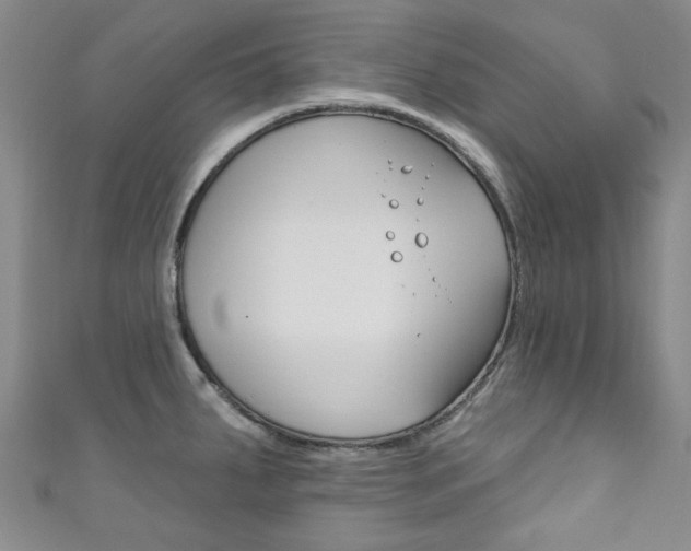 X0000111871287200907231144