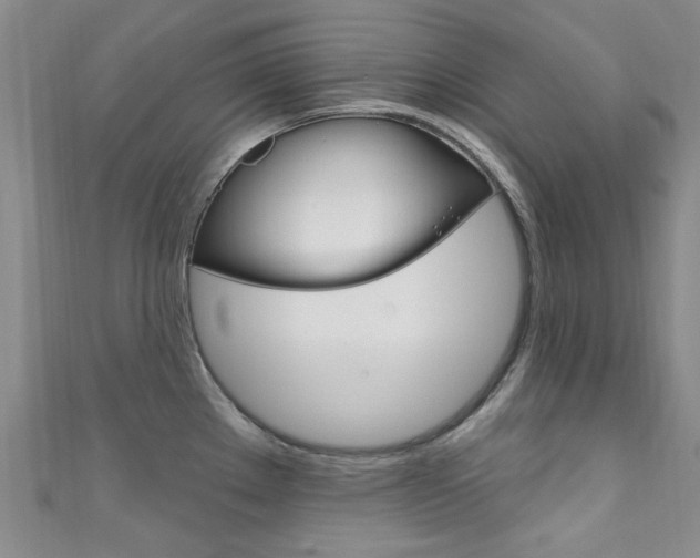 X0000111871289200907231144