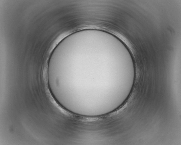 X0000111871290200907231144