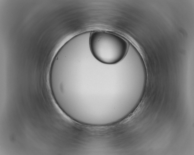 X0000111871293200907231143