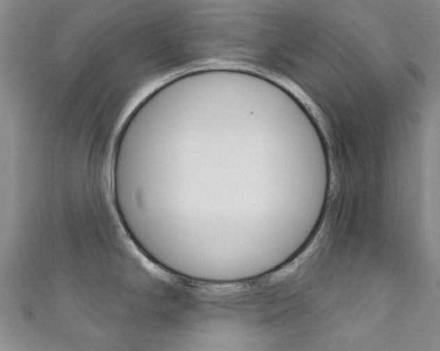 X0000111871294200907231143