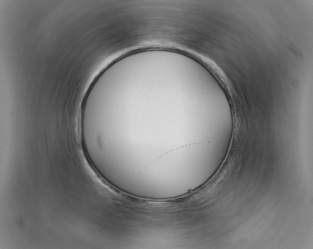 X0000111871295200907231143