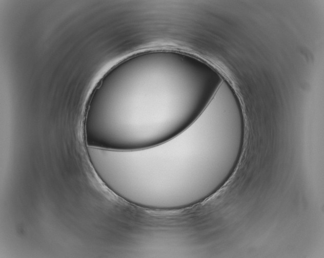 X0000111871296200907231143