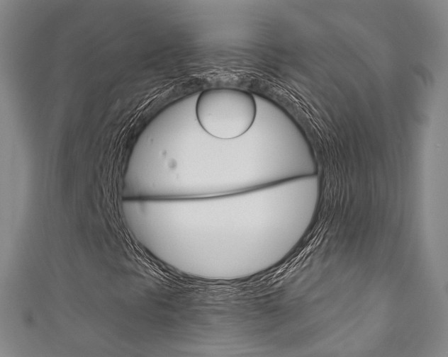 X0000111871297200907231143