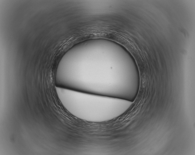 X0000111871298200907231143