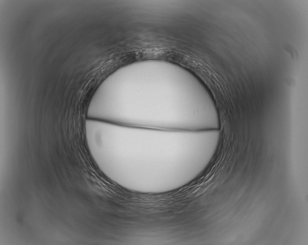 X0000111871299200907231143