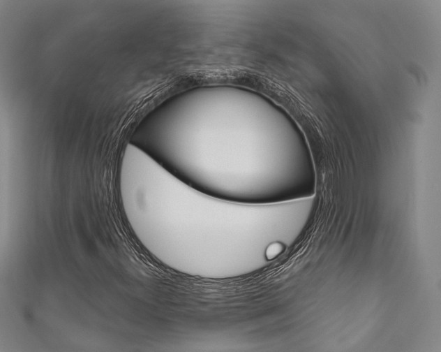 X0000111871300200907231143