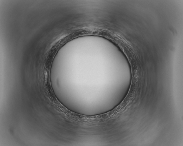 X0000111871302200907231143