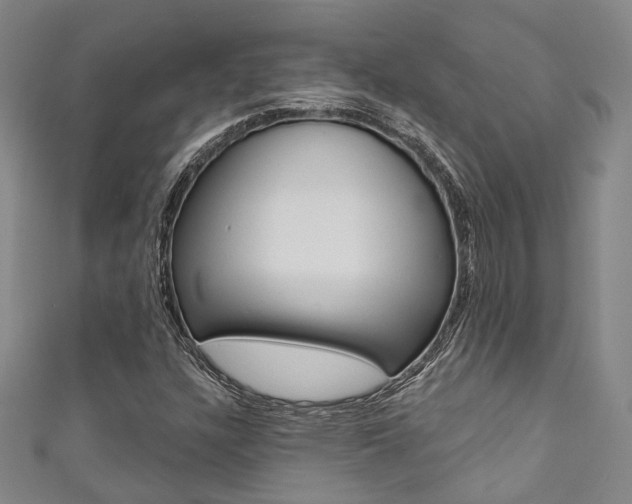 X0000111871304200907231143