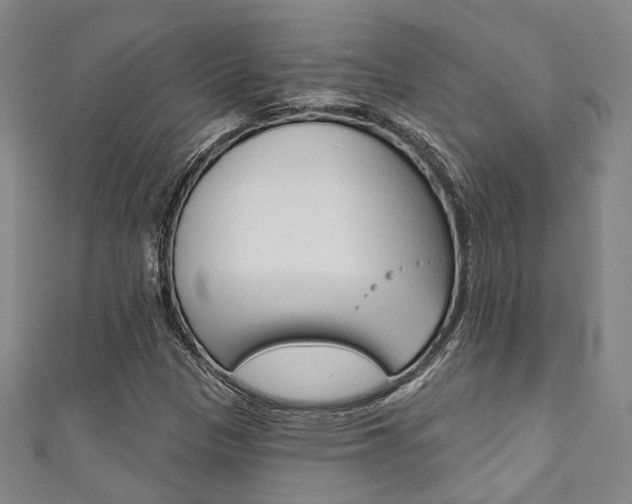 X0000111871305200907231143