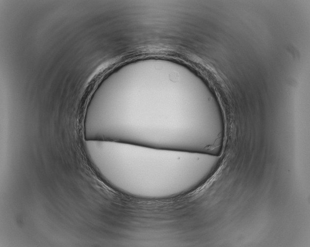 X0000111871306200907231143