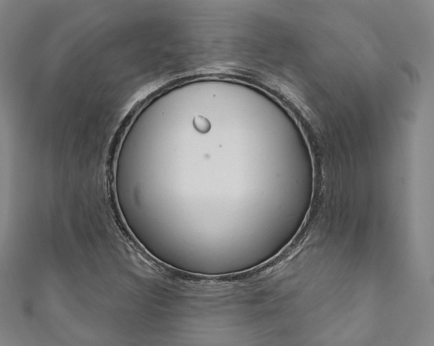 X0000111871308200907231143