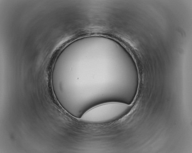 X0000111871309200907231143