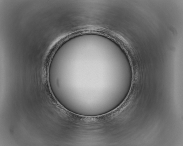 X0000111871310200907231143