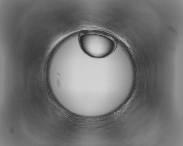 X0000111871311200907231143