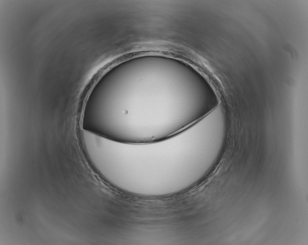X0000111871312200907231143