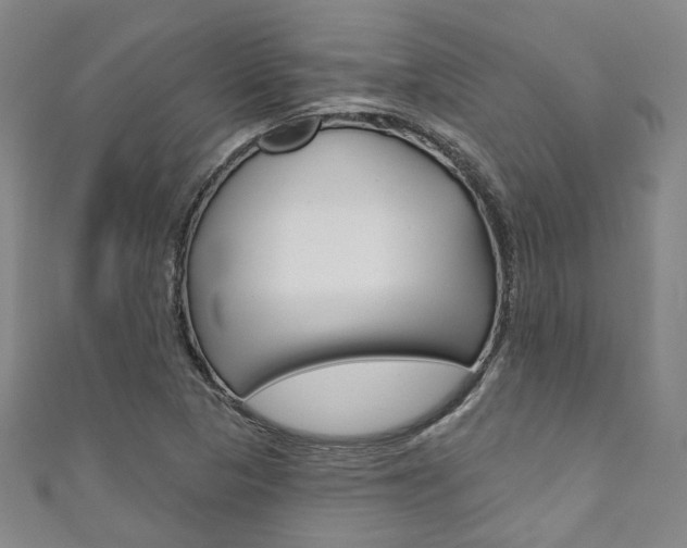 X0000111871313200907231143