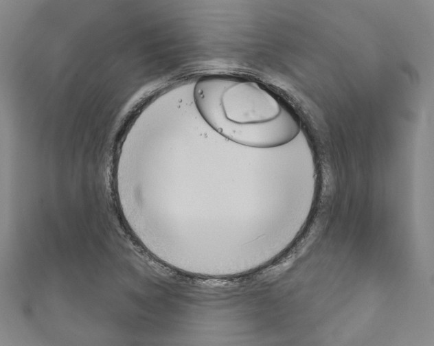 X0000111871314200907231143