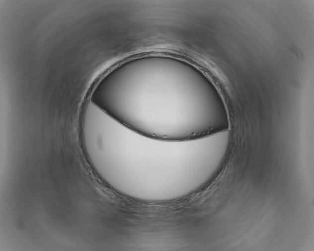 X0000111871316200907231143
