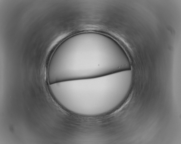 X0000111871317200907231143