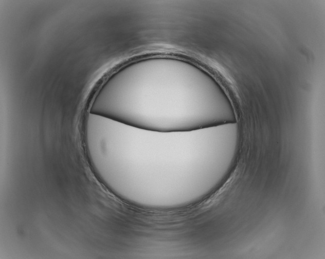 X0000111871318200907231143