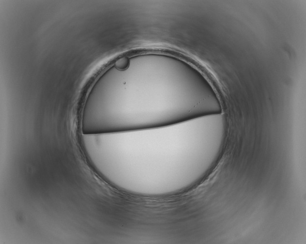 X0000111871319200907231143