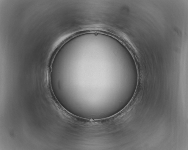 X0000111871320200907231143