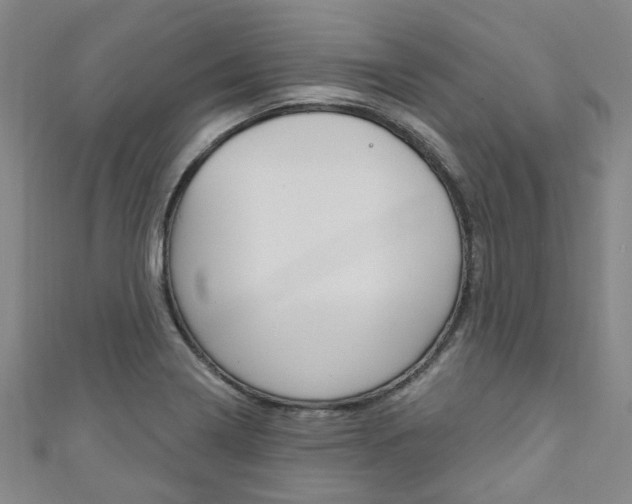 X0000111871322200907231143