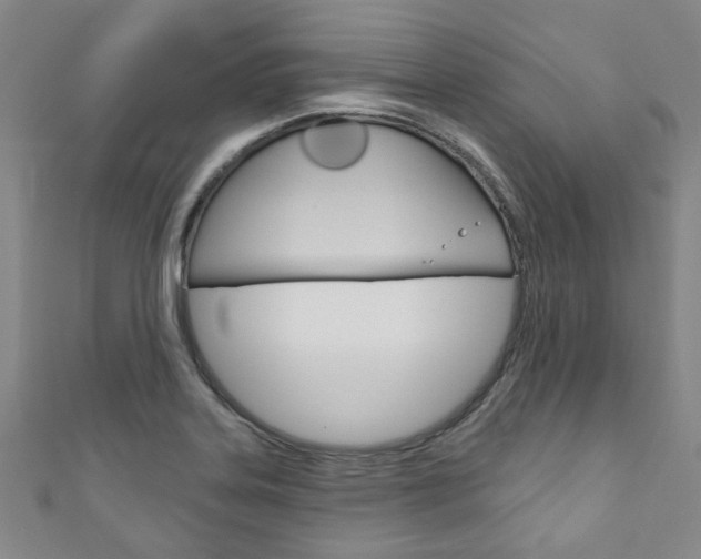 X0000111871323200907231143