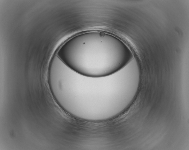 X0000111871324200907231143