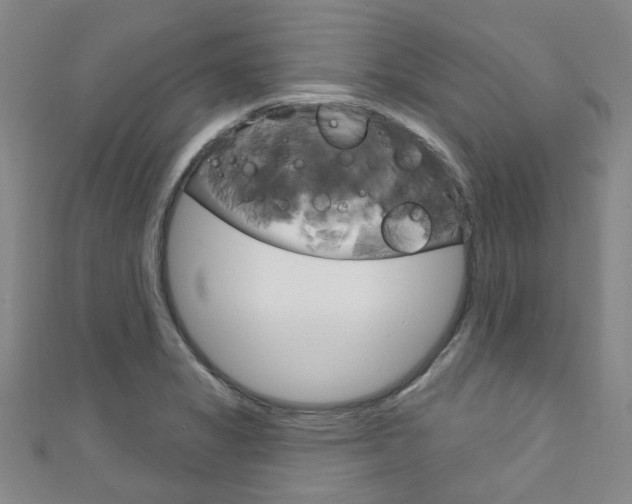 X0000111871325200907231143
