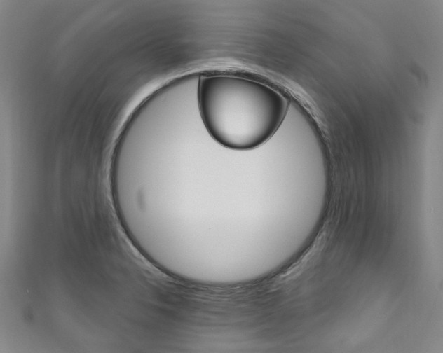 X0000111871326200907231143