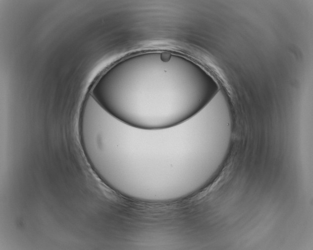 X0000111871328200907231143