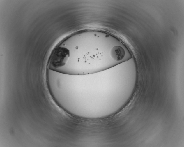 X0000111871331200907231143