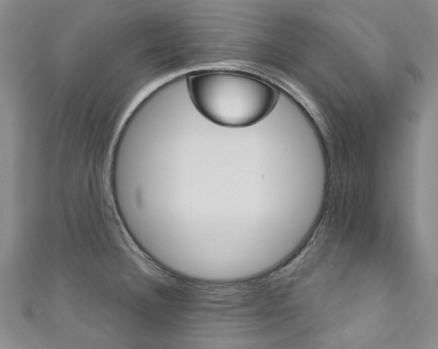 X0000111871332200907231143