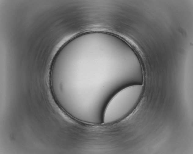 X0000111871333200907231143