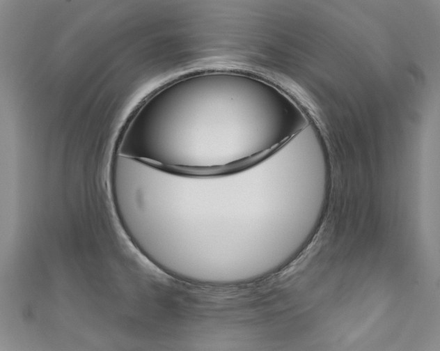 X0000111871334200907231143