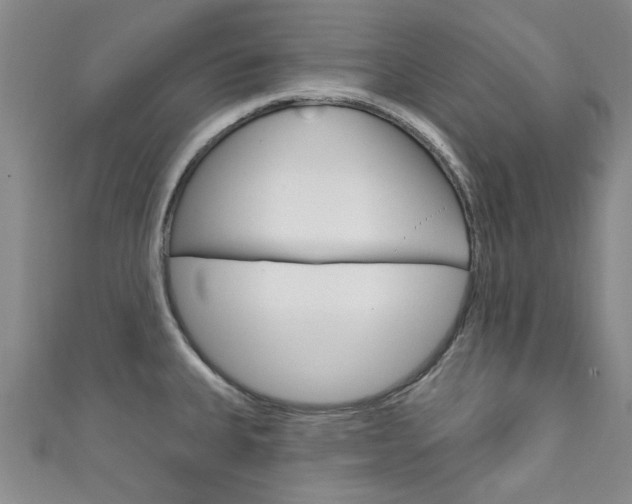 X0000111871335200907231143