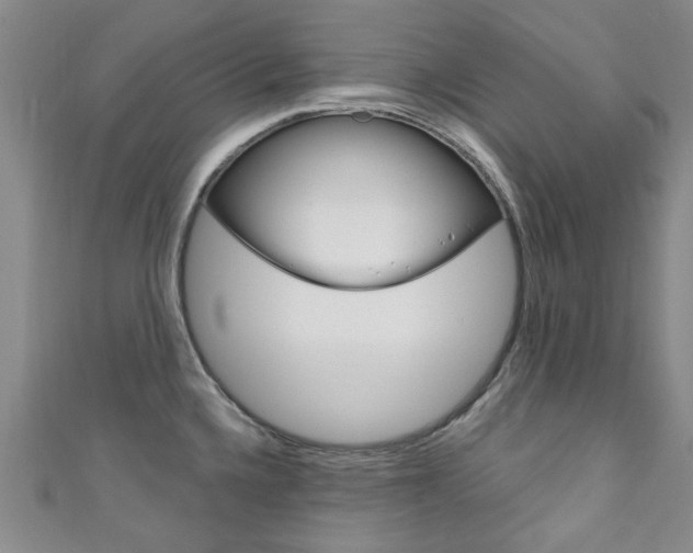 X0000111871336200907231143