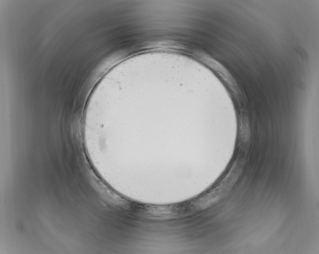 X0000111871338200907231143