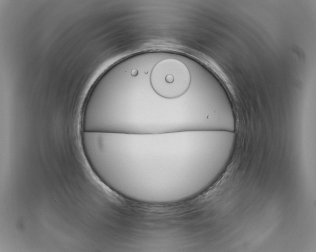 X0000111871339200907231143