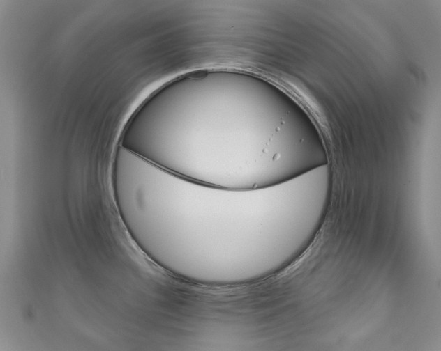 X0000111871340200907231143