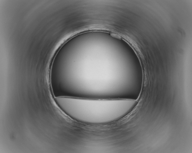 X0000111871342200907231143